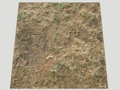 Rought Forest Tundra Textures Pack 1 CG Textures