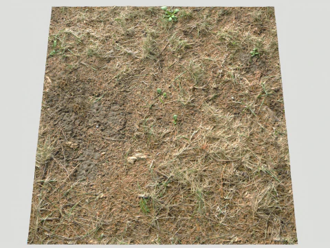 Rought Forest Tundra Textures Pack 1 CG Textures