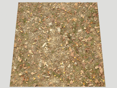 Rought Forest Tundra Textures Pack 1 CG Textures