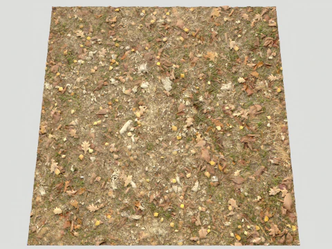 Rought Forest Tundra Textures Pack 1 CG Textures