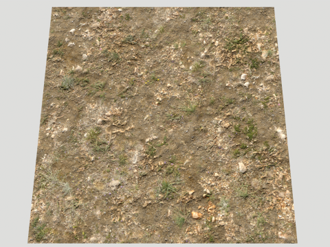 Rought Forest Tundra Textures Pack 1 CG Textures