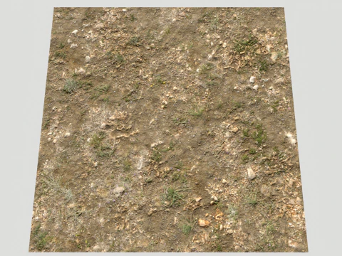 Rought Forest Tundra Textures Pack 1 CG Textures