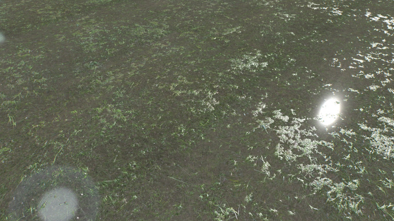 Water with algae and Plants 4 CG Texturen .c4d .max .obj .3ds .fbx .stl .blend 