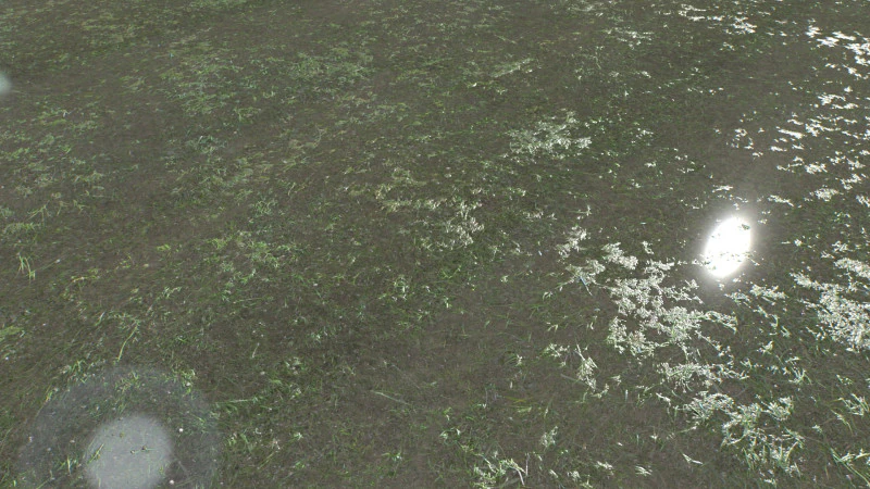 Water with algae and Plants 4 CG Textures .c4d .max .obj .3ds .fbx .stl .blend 