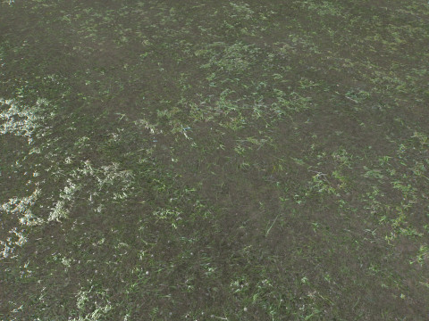 Water with algae and Plants 4 CG Texturen