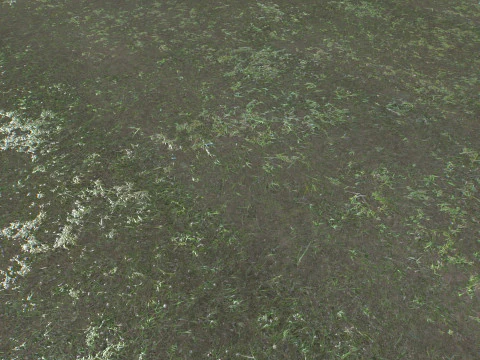 Water with algae and Plants 4 CG Textures