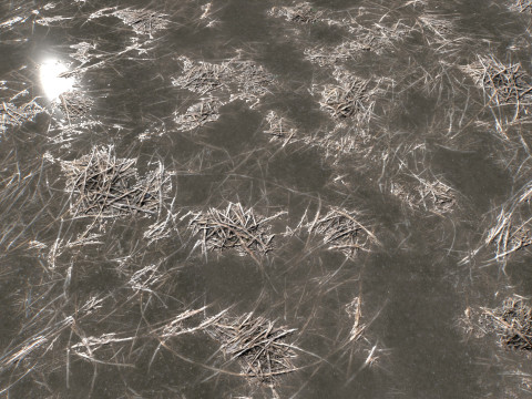 Water with algae and Plants 4 CG Texturen