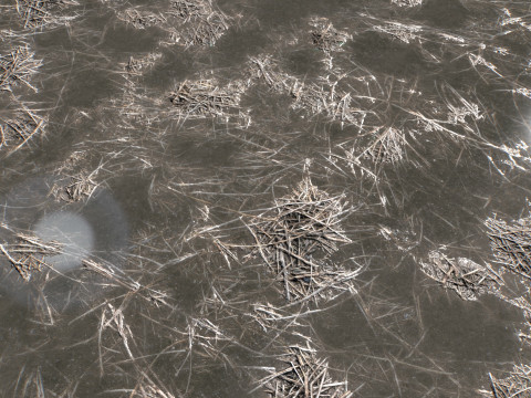 Water with algae and Plants 4 CG Texturen