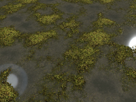 Water with algae and Plants 4 CG Texturen