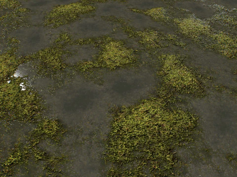 Water with algae and Plants 4 CG Textures