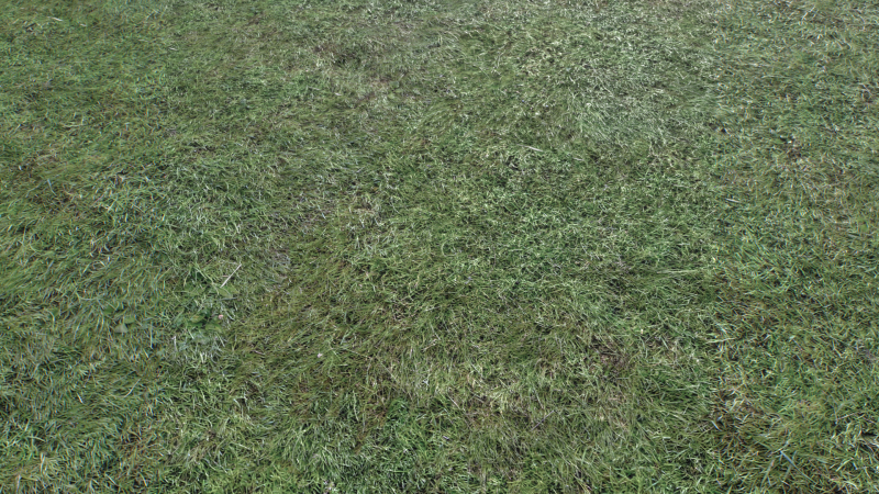 Wet Grass terrain PBR textures CG Textures .c4d .max .obj .3ds .fbx .stl .blend