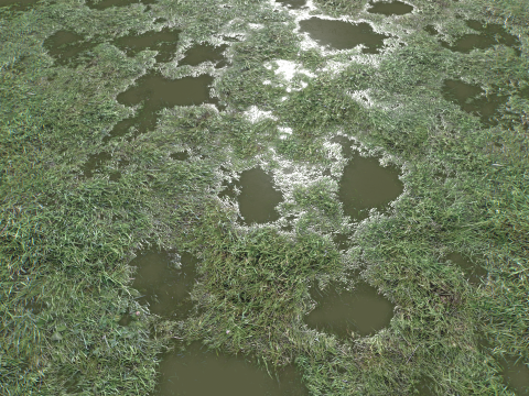 Wet Grass terrain PBR textures CG Textures
