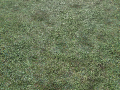 Wet Grass terrain PBR textures CG Textures