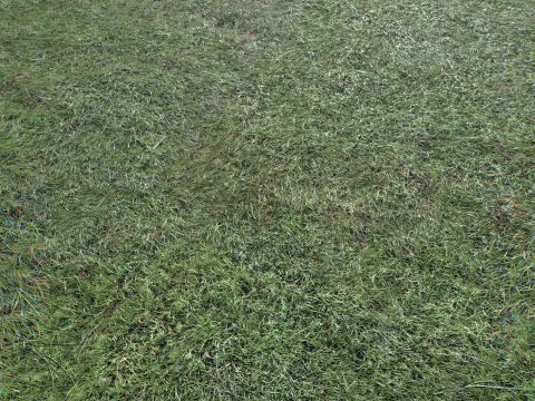 Wet Grass terrain PBR textures CG Textures