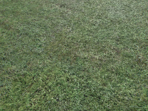 Wet Grass terrain PBR textures CG Textures
