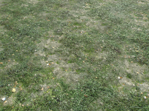 Wet Grass terrain PBR textures CG Textures