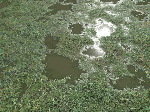 Wet Grass terrain PBR textures CG Textures