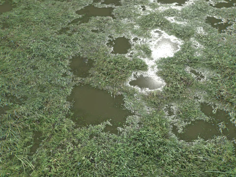 Wet Grass terrain PBR textures CG Textures