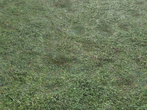 Wet Grass terrain PBR textures CG Textures
