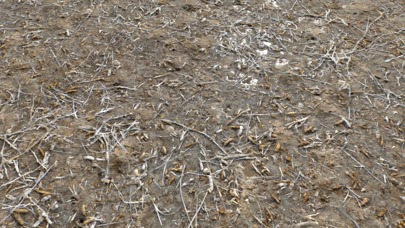 Muddy Terrain and Puddles 5 PBR CG テクスチャ .c4d .max .obj .3ds .fbx .stl .blend 