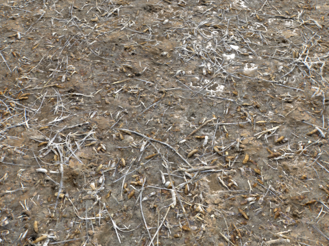 Muddy Terrain and Puddles 5 PBR CG Textures
