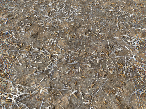 Muddy Terrain and Puddles 5 PBR CG テクスチャ