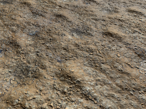 Muddy Terrain and Puddles 5 PBR CG テクスチャ