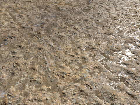 Muddy Terrain and Puddles 5 PBR CG テクスチャ