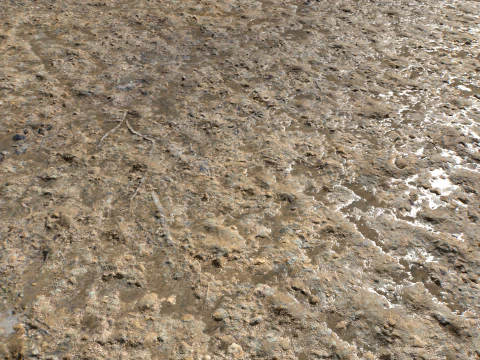 Terreno fangoso e pozzanghere 5 PBR CG Textures