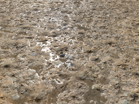 Muddy Terrain and Puddles 5 PBR CG テクスチャ