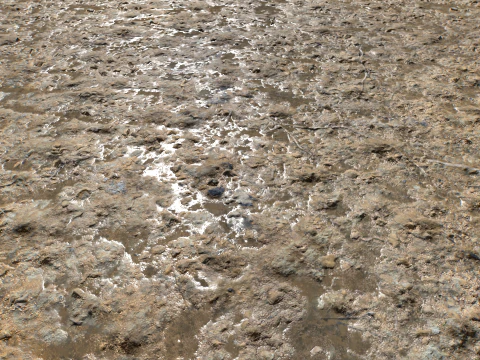 Terreno fangoso e pozzanghere 5 PBR CG Textures