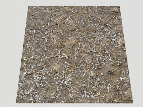 Terreno fangoso e pozzanghere 5 PBR CG Textures