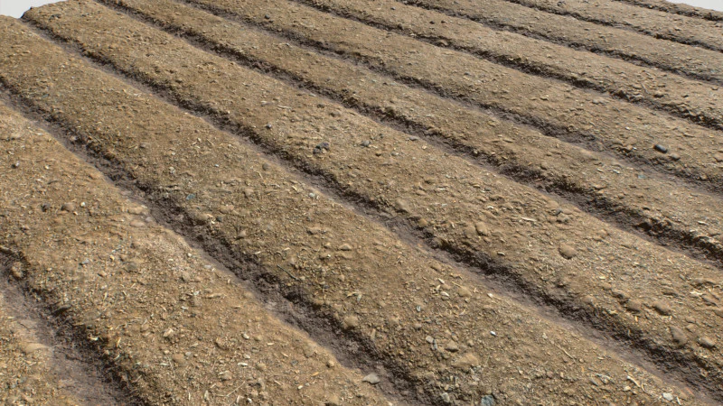 Farm Terrain Textures CG Textures .c4d .max .obj .3ds .fbx .stl .blend
