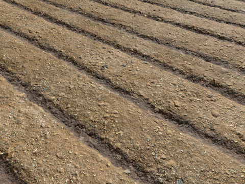 Farm Terrain Textures CG टेक्स्चर्स