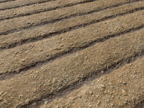 Farm Terrain Textures CG Dokuları