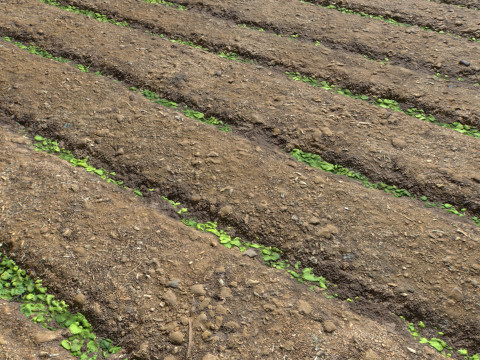 Farm Terrain Textures CG Dokuları