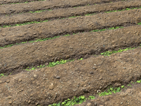 Farm Terrain Textures CG Dokuları