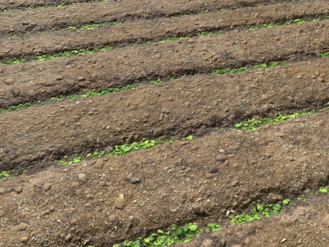 Farm Terrain Textures CG Textures