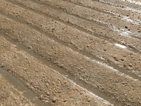 Farm Terrain Textures CG Dokuları