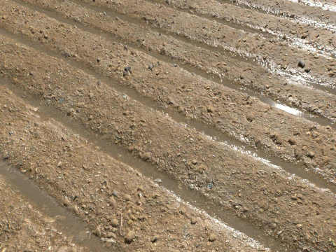 Farm Terrain Textures CG Textures