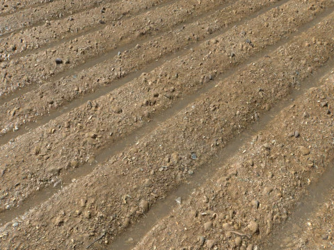 Farm Terrain Textures CG Textures