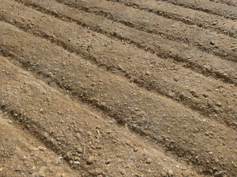 Farm Terrain Textures CG Textures