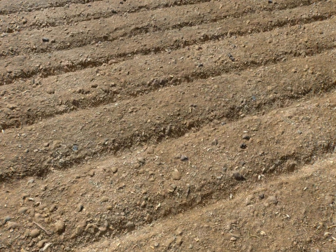 Farm Terrain Textures CG Textures