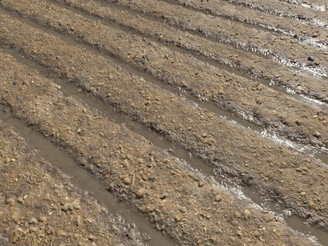 Farm Terrain Textures CG Textures