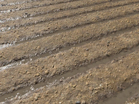 Farm Terrain Textures CG Textures