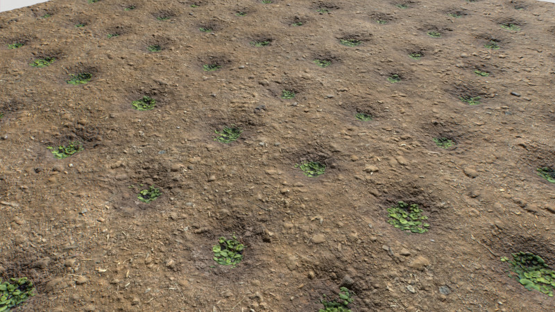 Farm Terrain Textures Pack 2 CG テクスチャ .c4d .max .obj .3ds .fbx .stl .blend 