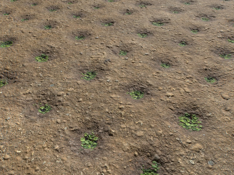 Farm Terrain Textures Pack 2 CG टेक्स्चर्स
