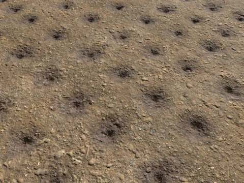 Farm Terrain Textures Pack 2 CG Textures