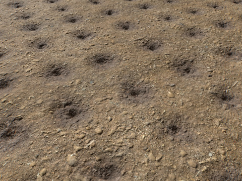 Farm Terrain Textures Pack 2 CG テクスチャ