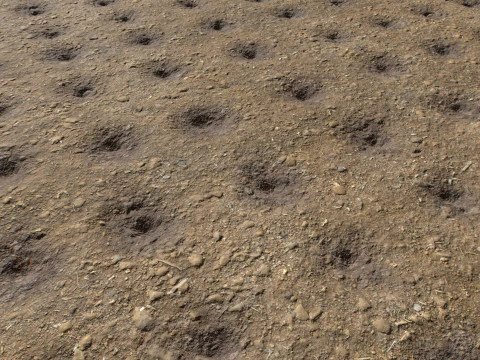 Farm Terrain Textures Pack 2 CG Textures